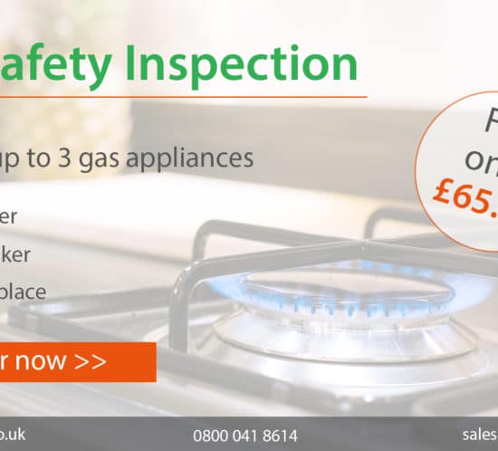 Gas safety inspection